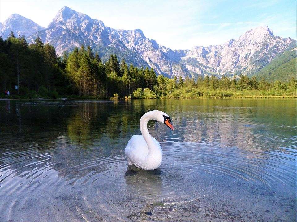 AUSZTRIA
