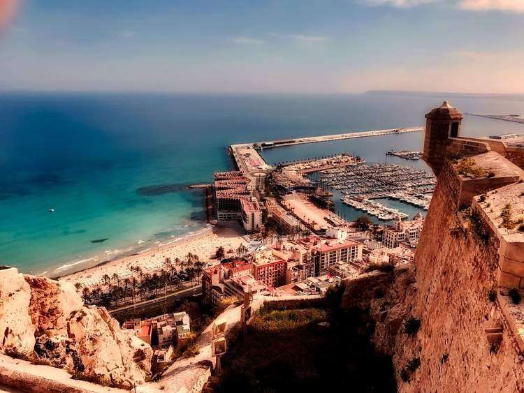 Alicante kiwis 2