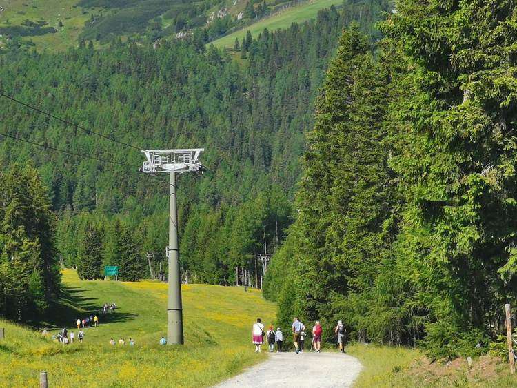 Alpesi túrázók