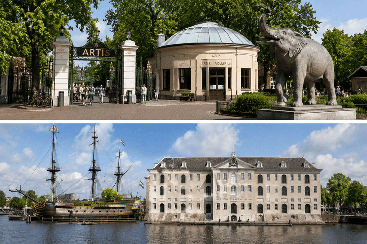 Artis park Amszterdam
