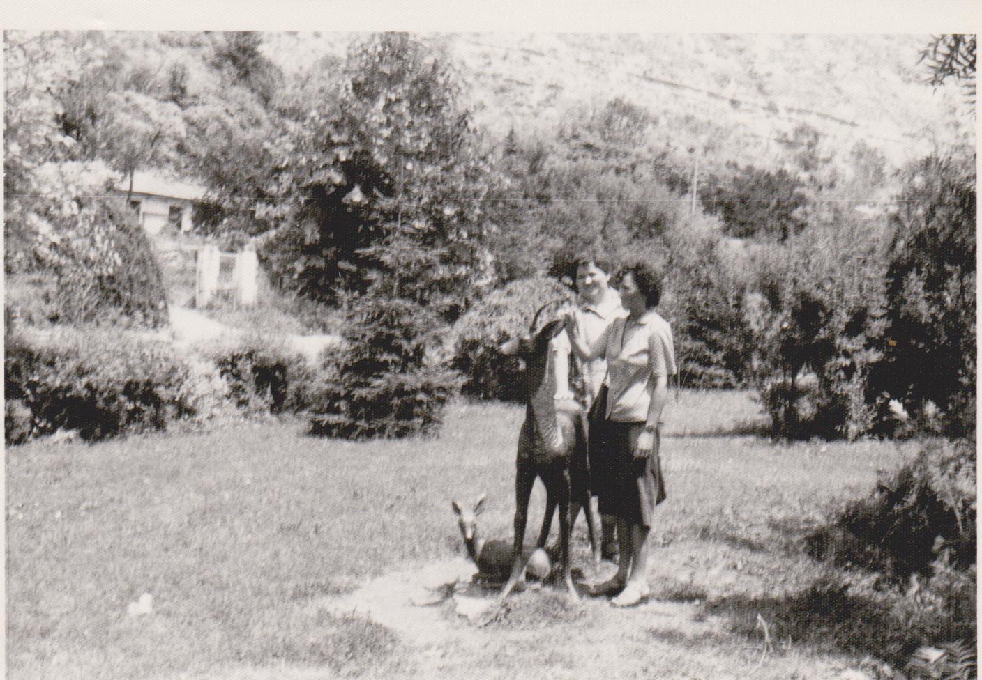 Balcsik