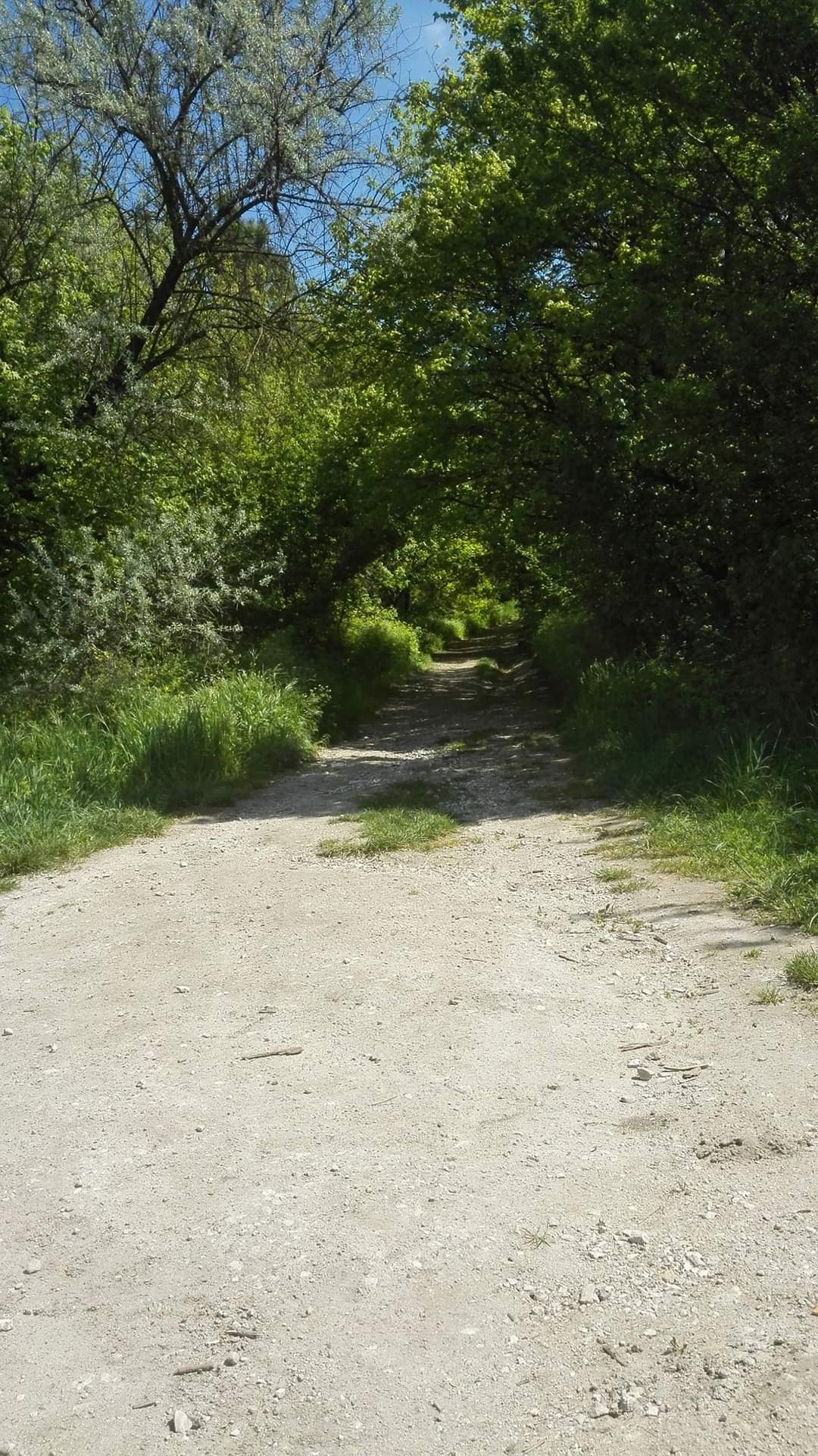 Biatorbágy1