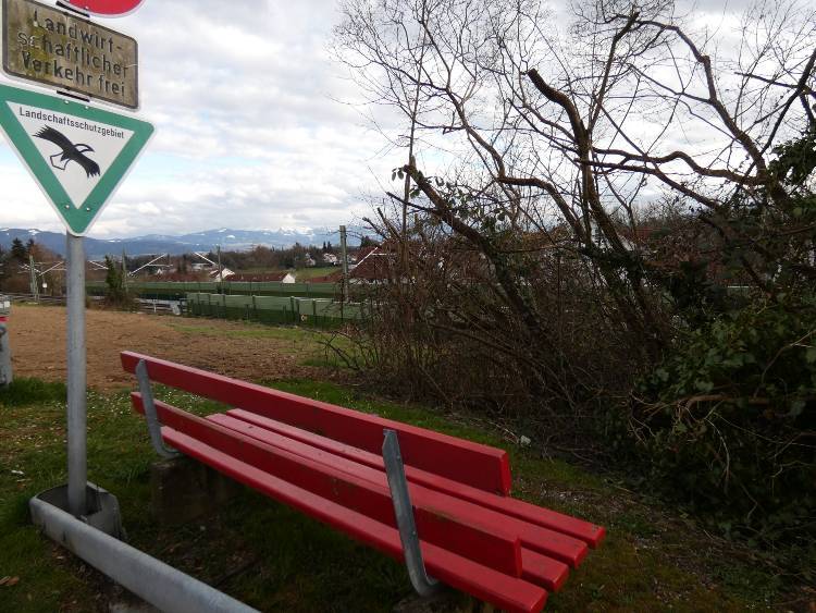 Bodensee negatív 8