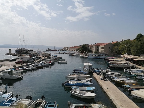Brac1