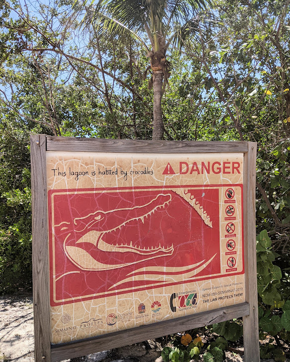 Cancun krokodilveszély tábla 5