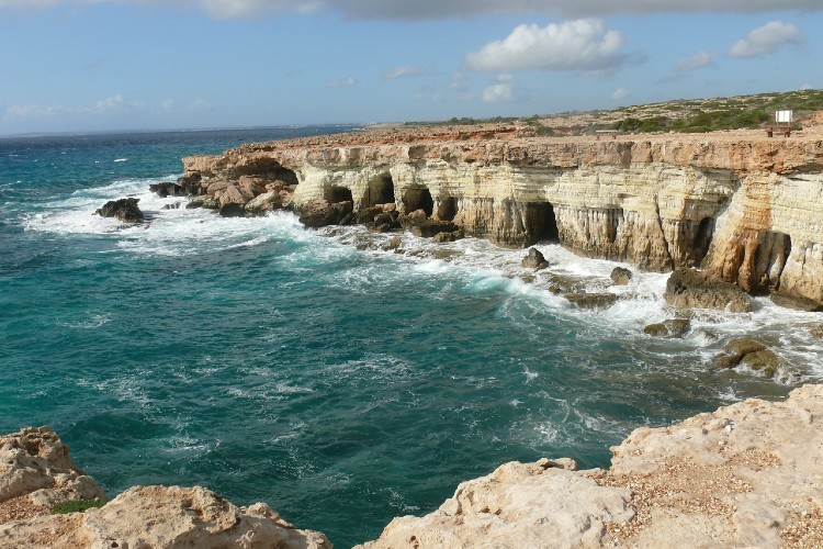 Cape Greko