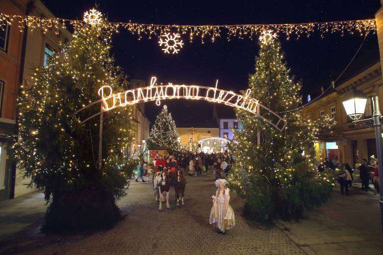 Celje adventx