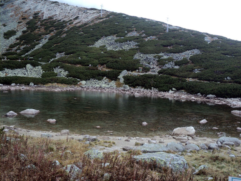 DSC09068