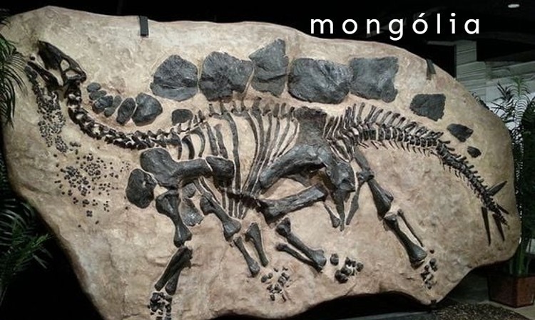 Mongólia: A Dinoszauruszok Múzeuma Ulánbátorban.