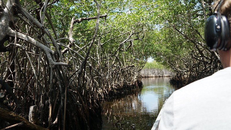 Everglades