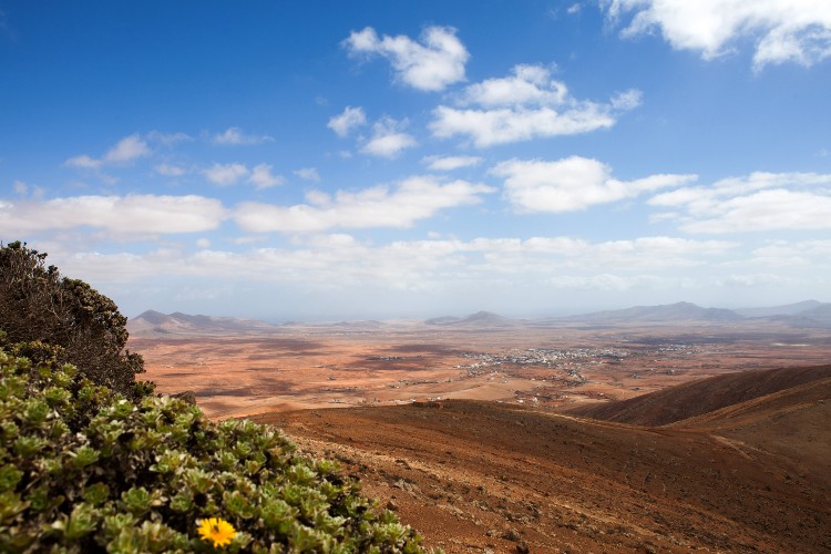 Fuerteventura 2x