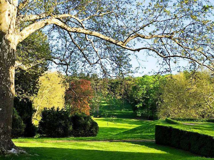 Füzérradvány angolpark