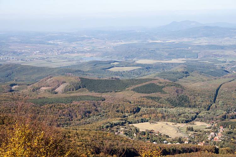 Galyatetoo