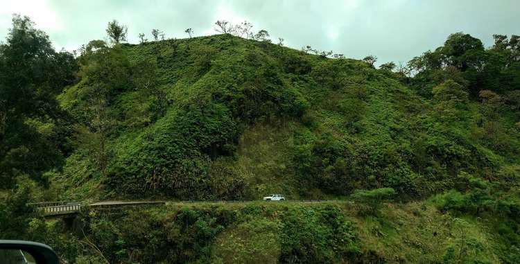 Hawai Road to Hana