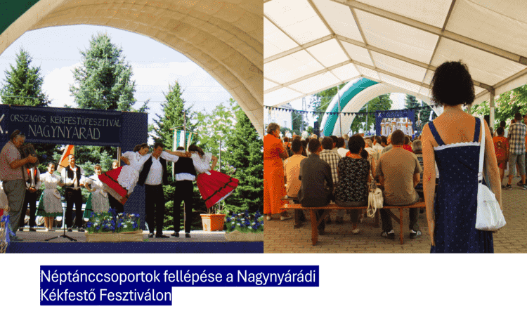 Kékfestő 6
