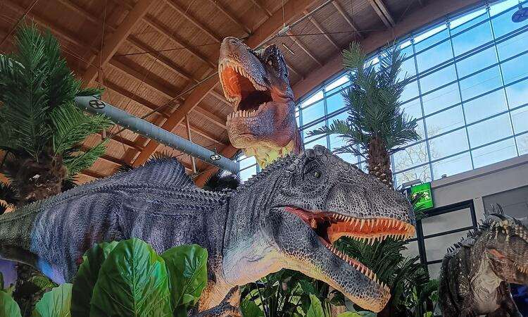 Königreich der Dinosaurier 11
