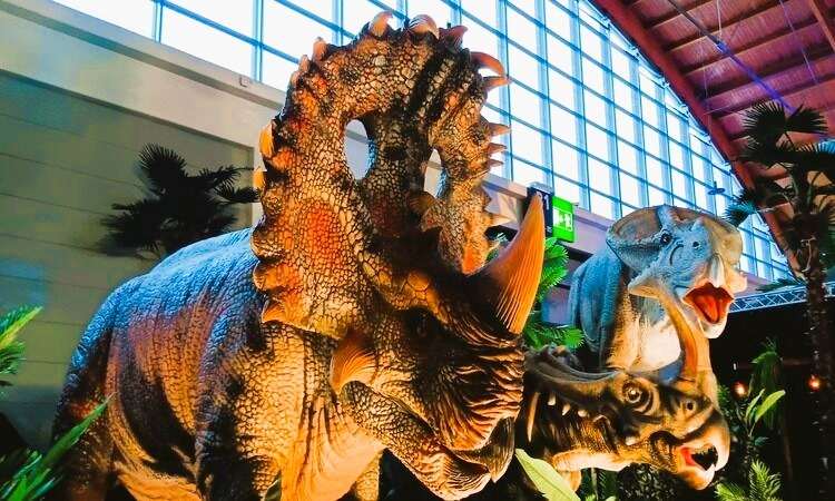 Königreich der Dinosaurier 12