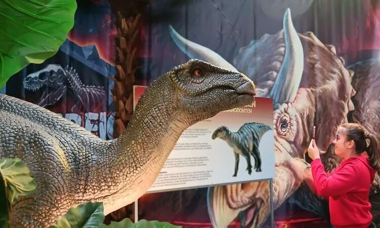 Königreich der Dinosaurier 13