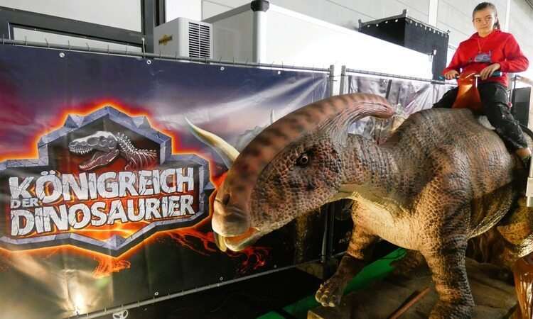 Königreich der Dinosaurier 14