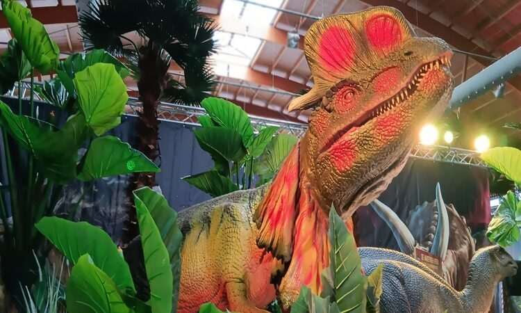 Königreich der Dinosaurier 4