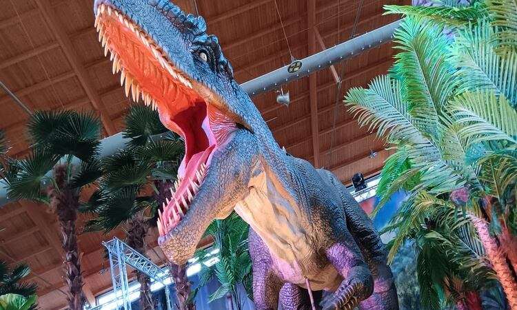 Königreich der Dinosaurier 5