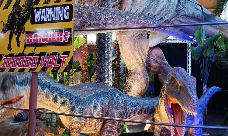 Königreich der Dinosaurier 9