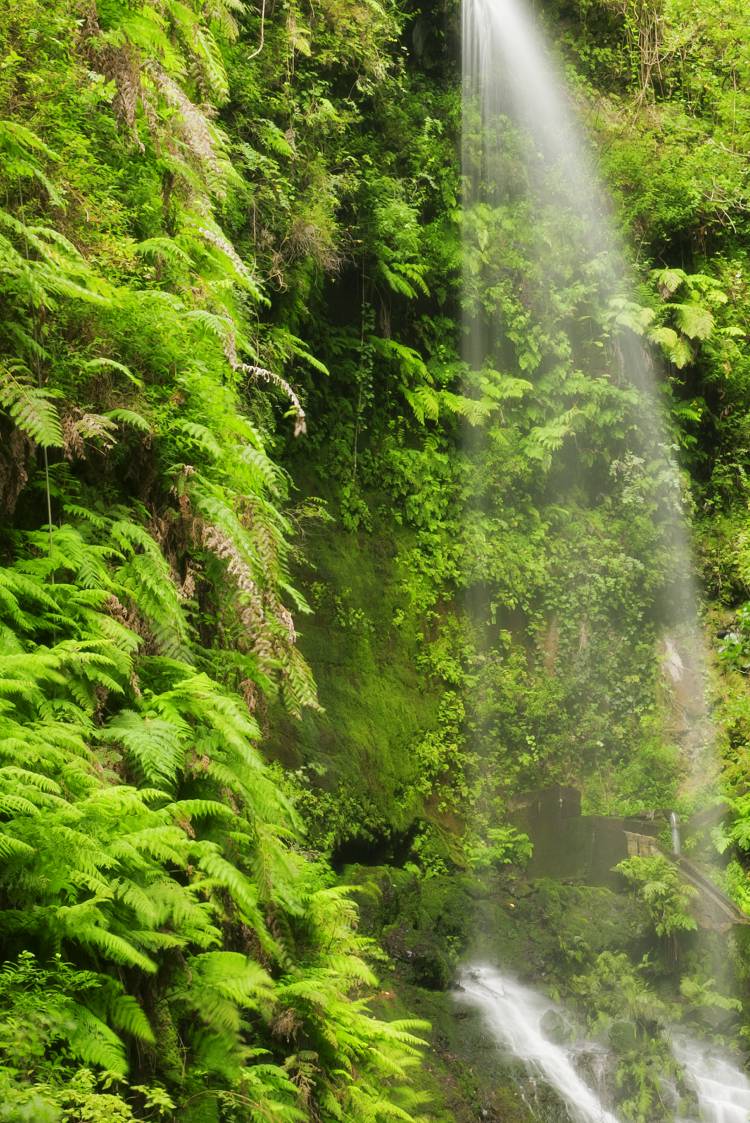 La Palma 4