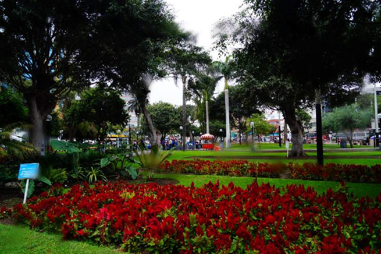 Lima Kennedy park11
