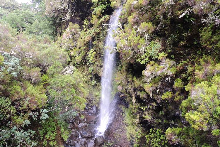 Madeira2a