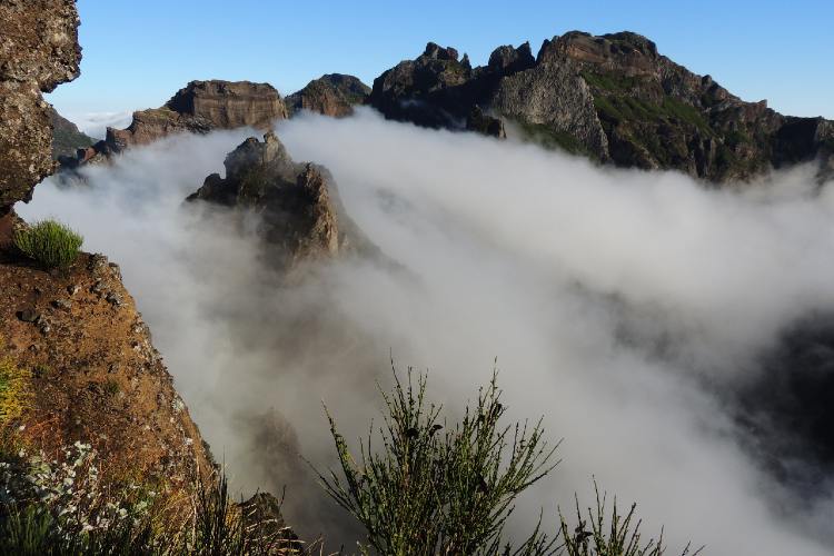 Madeira5a