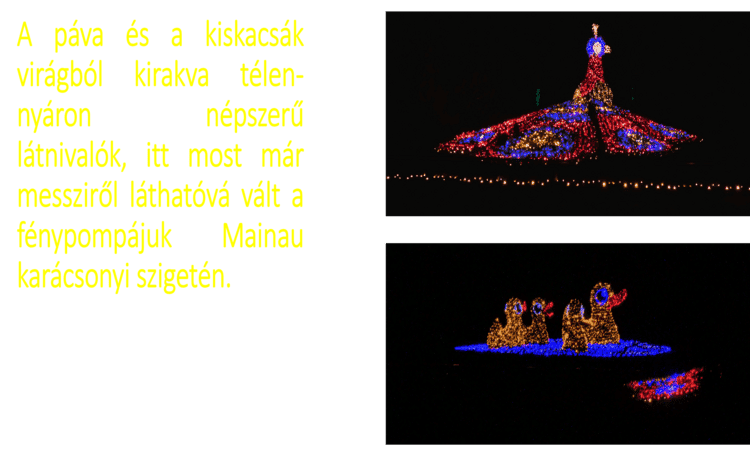 Mainau karácsonyi kertje 6