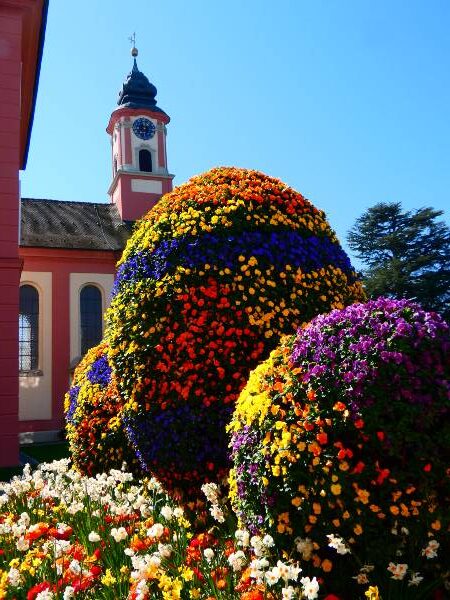 Mainau virágsziget8