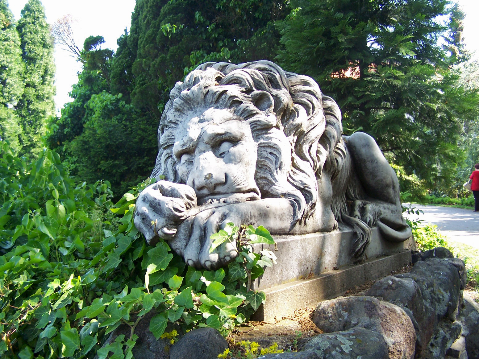 Arboretum malonya