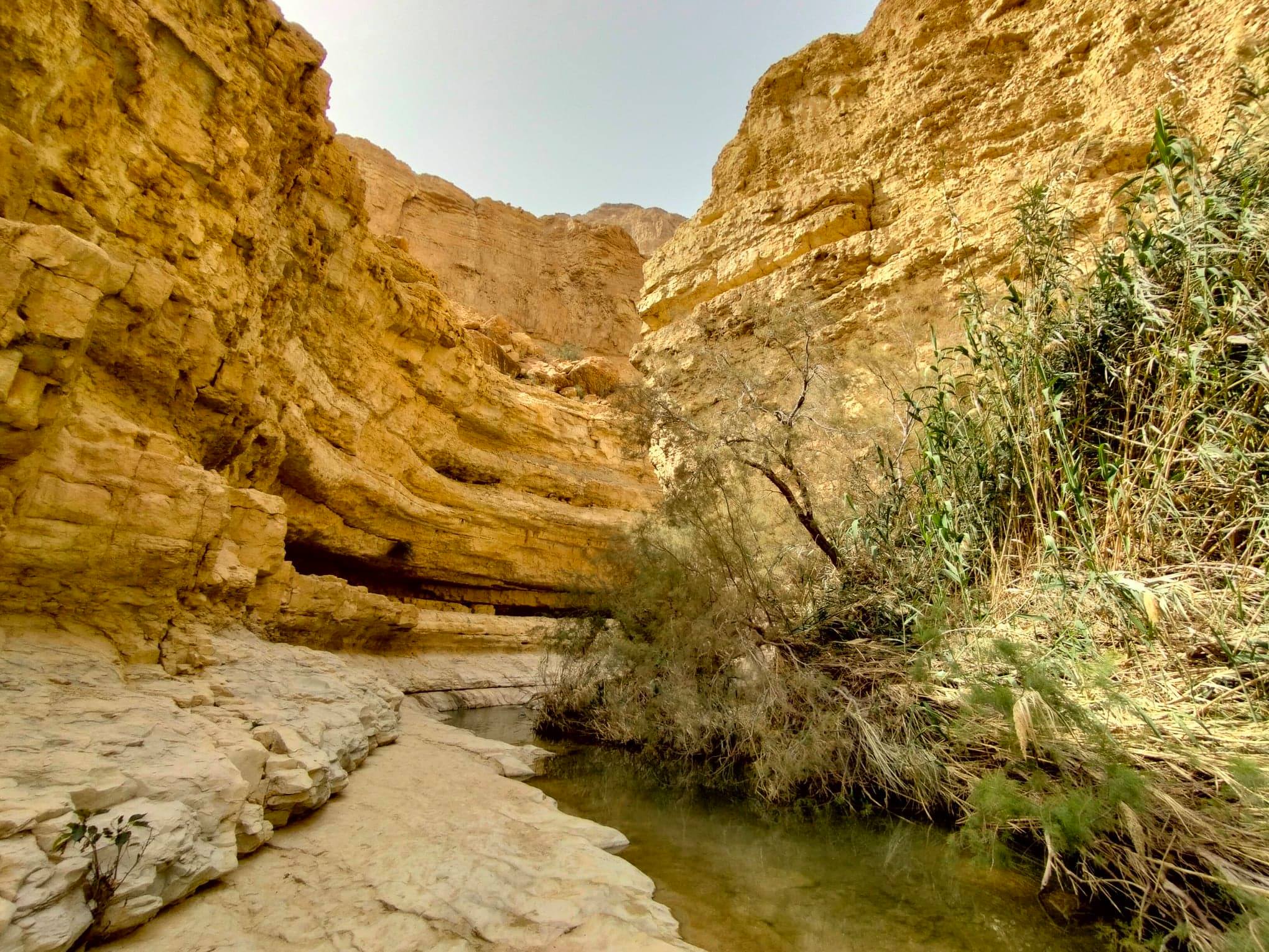 Nahal Arugot 1