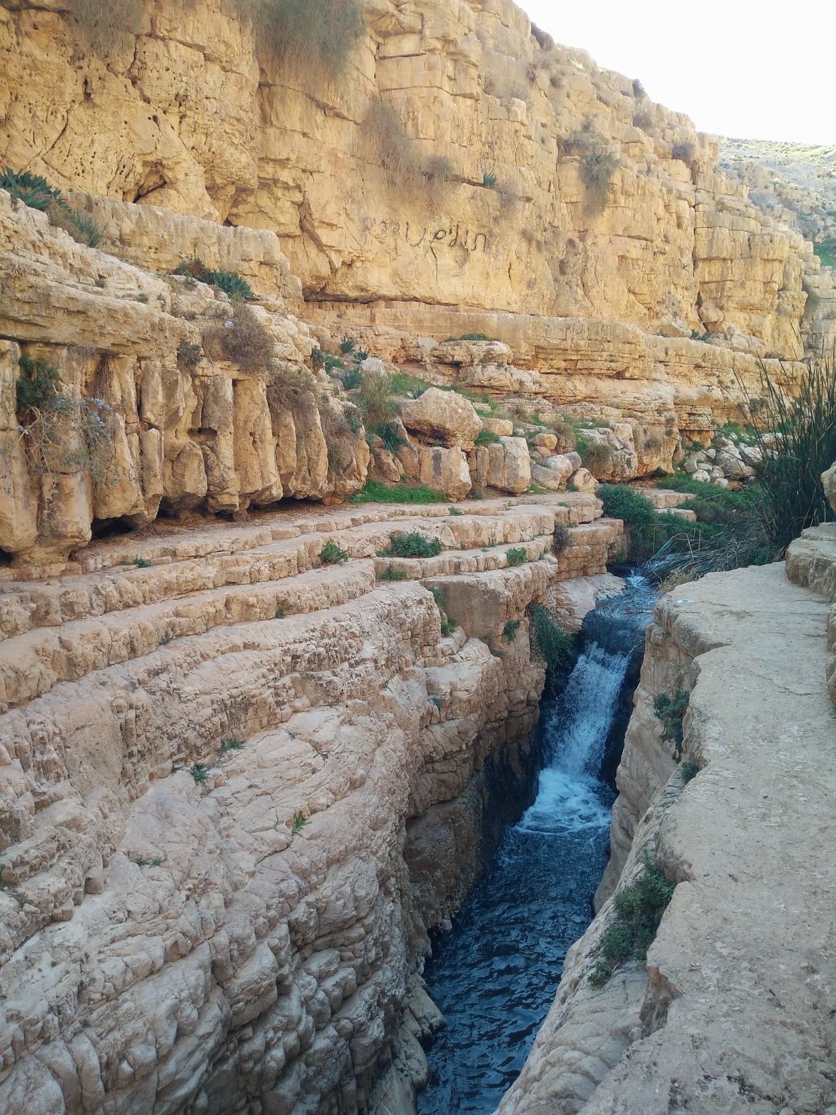 Nahal Prat2