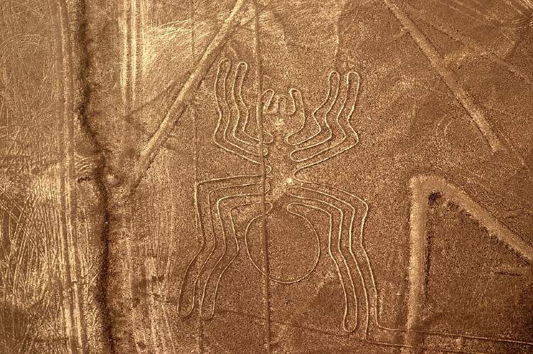 Nazca pb Monika Neumanx