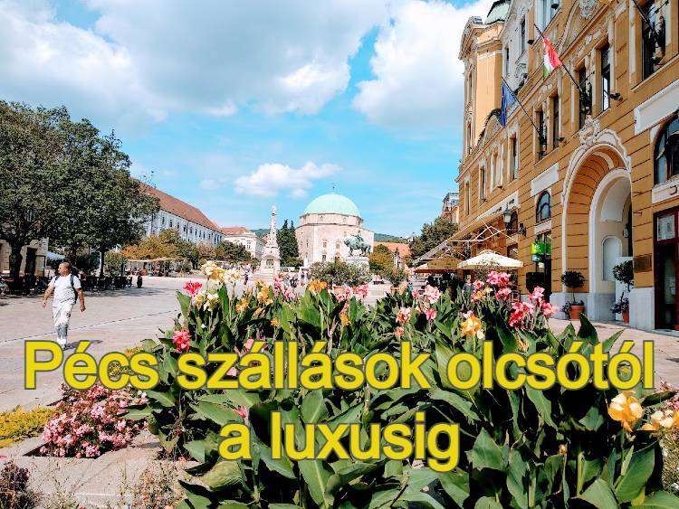 Pécs banner