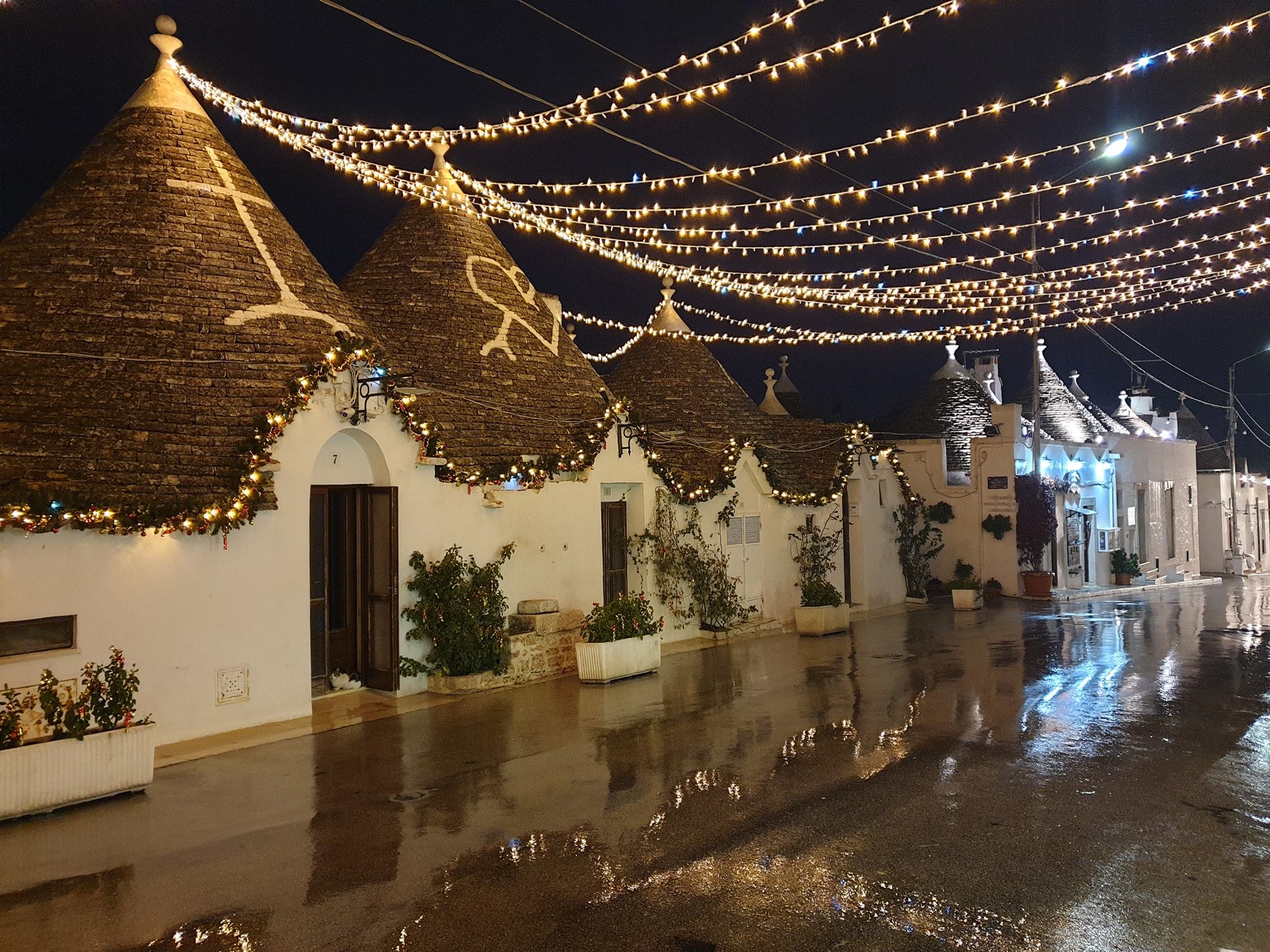 Puglia Baráth Bernadett