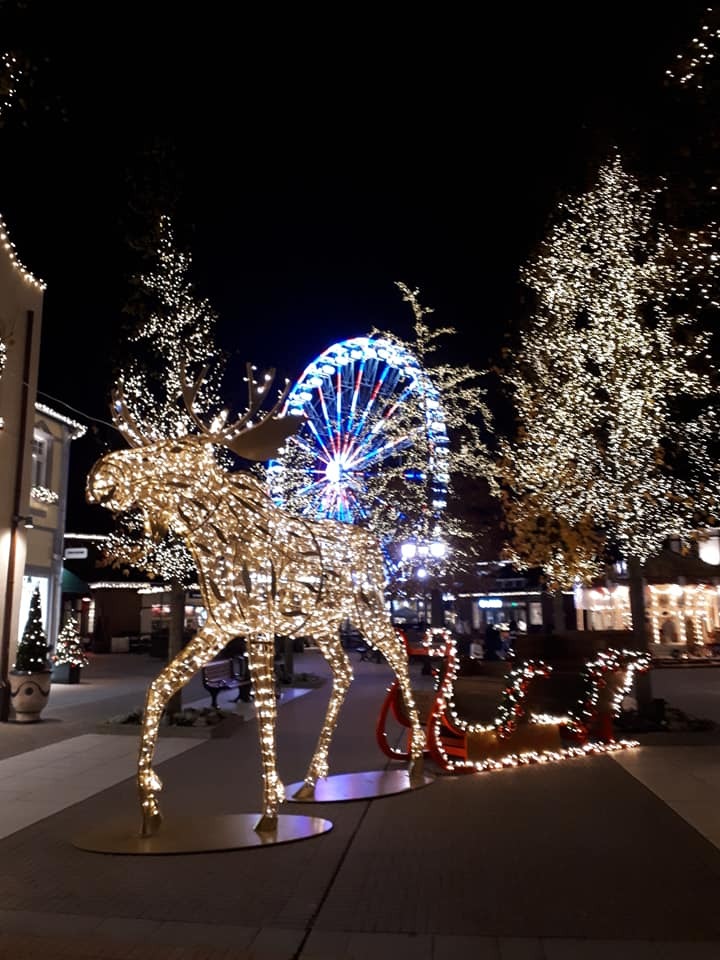 Roermond Némethné Erzsi