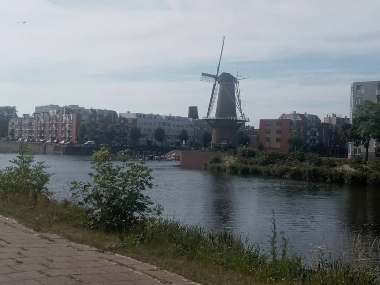 Rotterdam 3