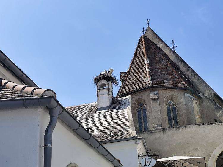 Ruszt 4