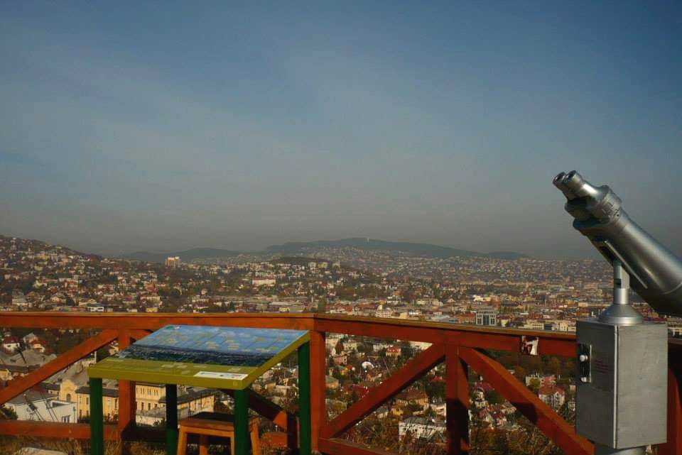 Sashegy1
