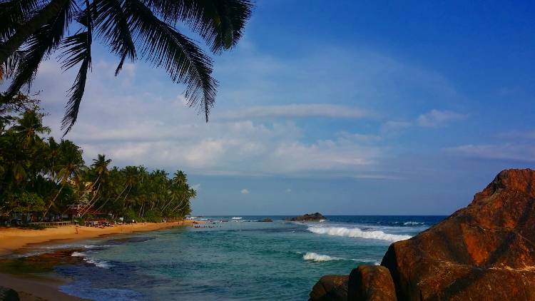 Sri lankax3