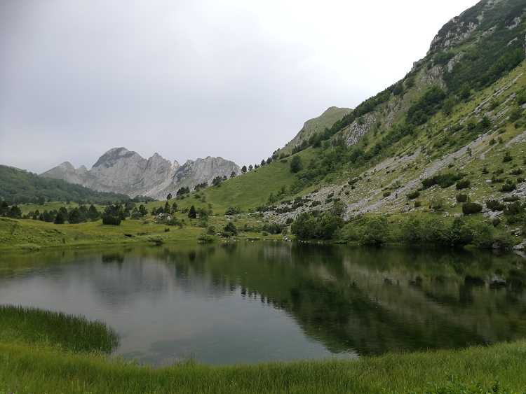 Sutjeska NPx