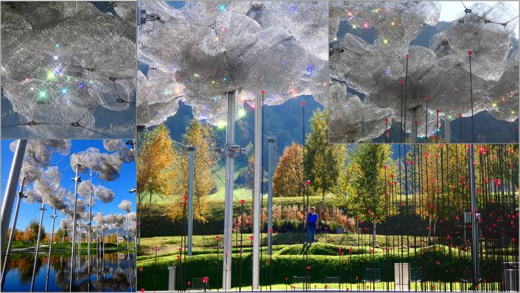 Swarovski 14
