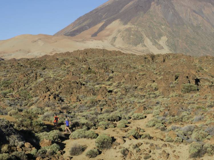Tenerife 3x