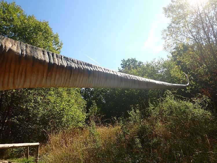 Teufelsschlucht 23 dínó