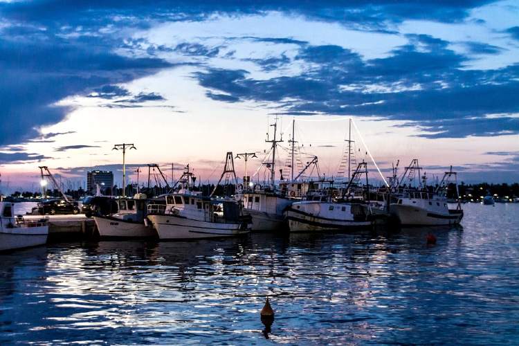 Umag kikötőx