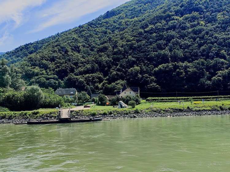 Wachau orr szikla