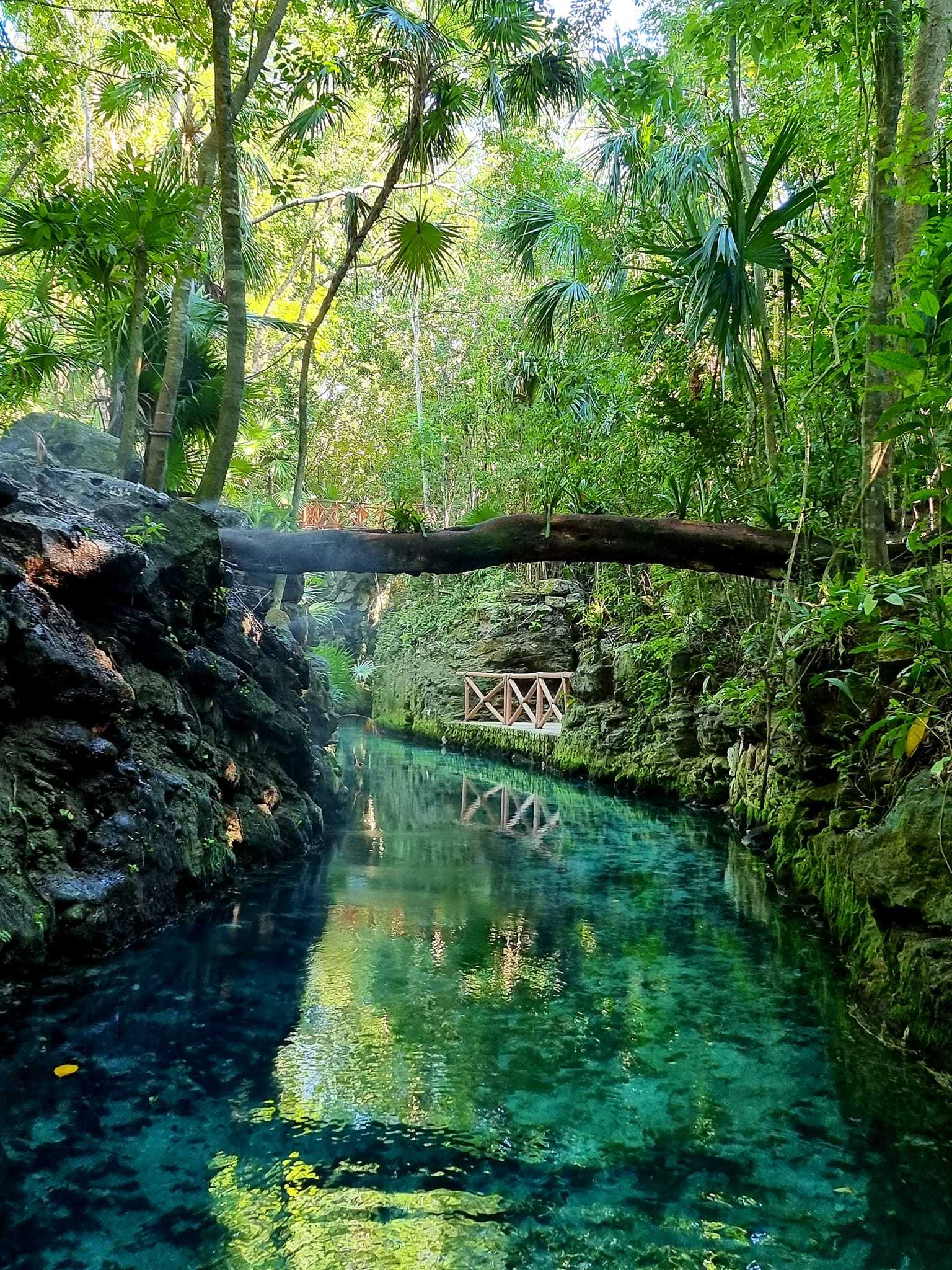Xcaret2